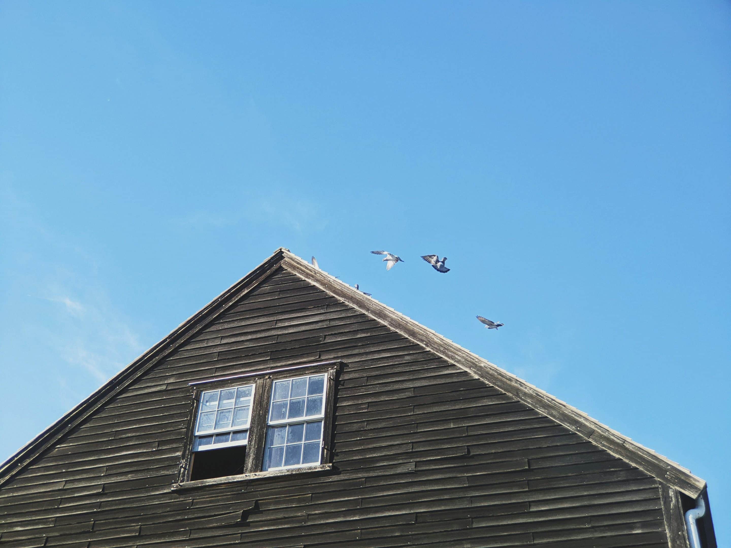 Maison en bois foncée avec une fenêtre ouverte et des oiseaux dans le ciel bleu